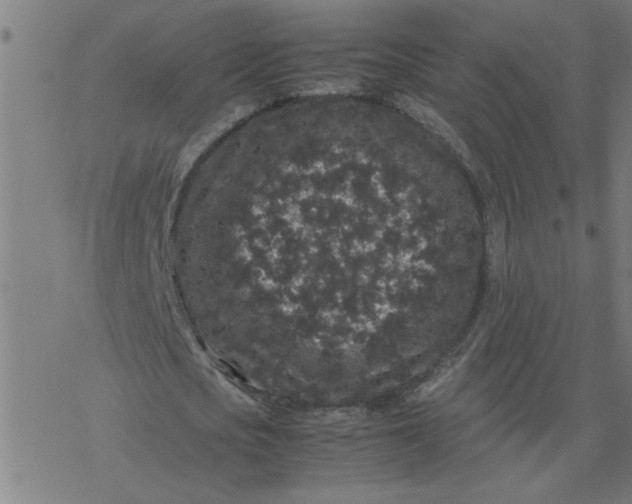 X0000077390721200611032000