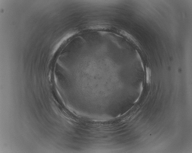 X0000077390723200611032001