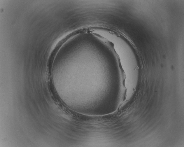 X0000077390724200611032001