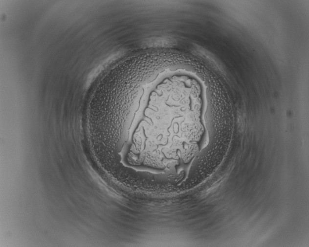 X0000077390725200611032001