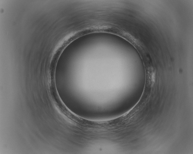 X0000077390726200611032001