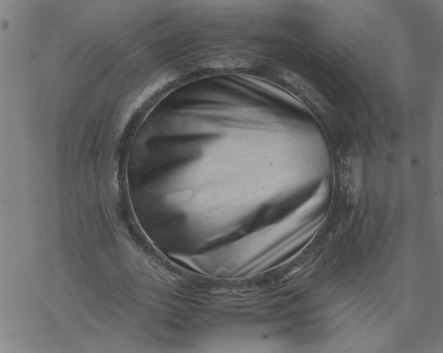 X0000077390727200611032001