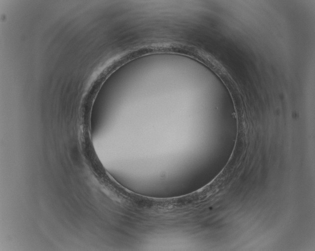 X0000077390728200611032001