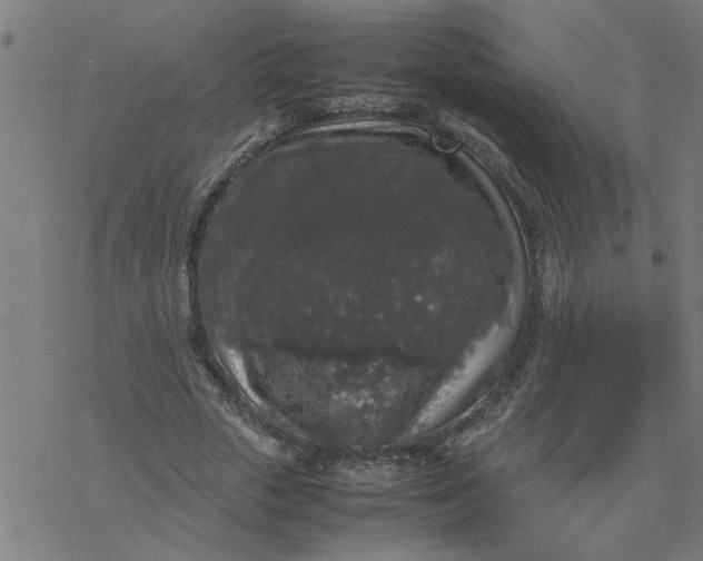 X0000077390729200611032001