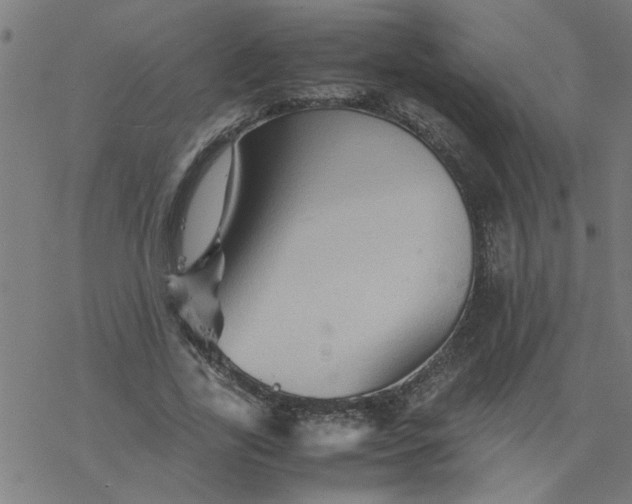 X0000077390731200611032001