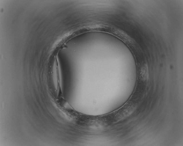 X0000077390732200611032001