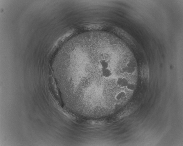 X0000077390733200611032001