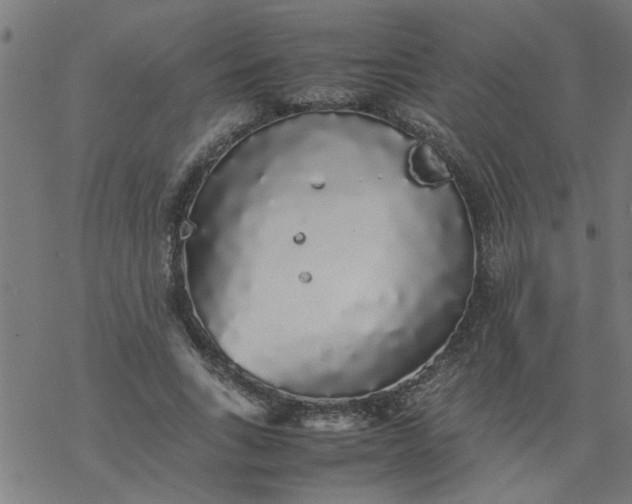 X0000077390735200611032001