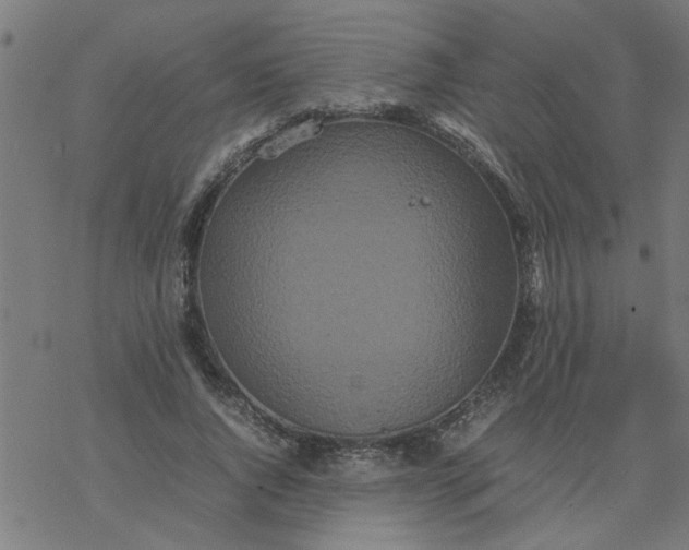 X0000077390736200611032001