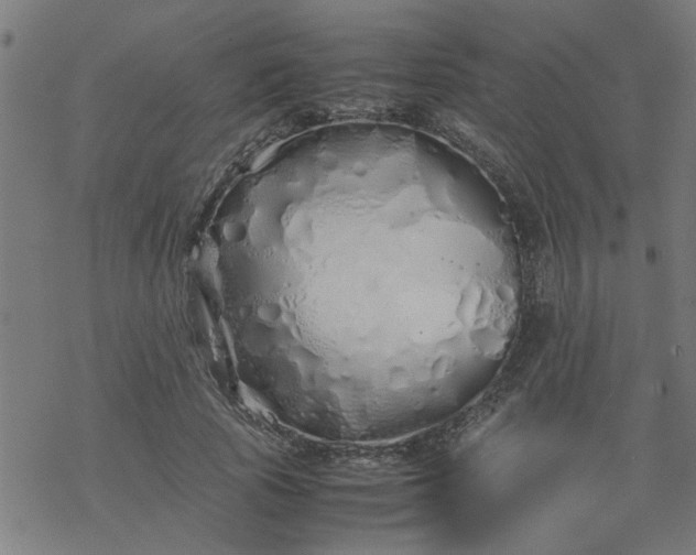 X0000077390737200611032001