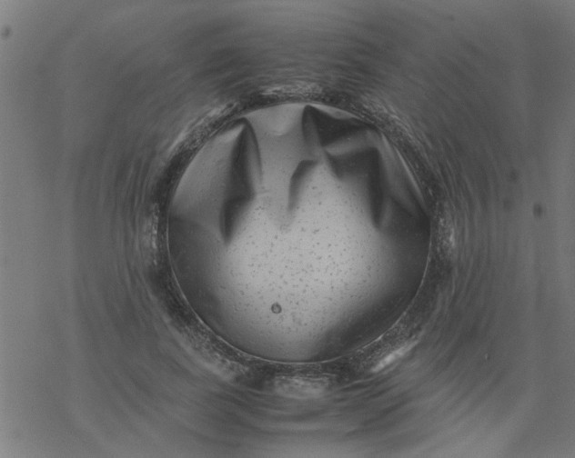 X0000077390739200611032001