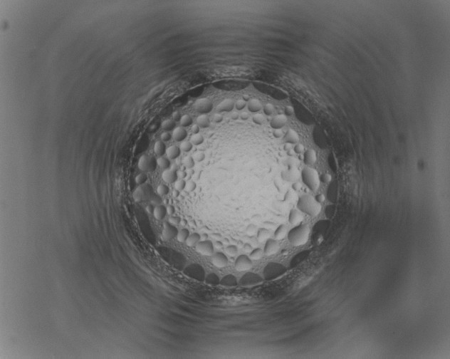 X0000077390741200611032001