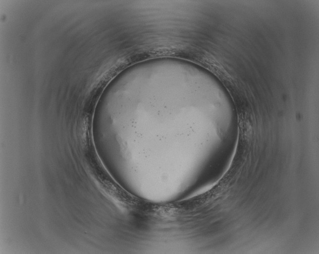 X0000077390742200611032001