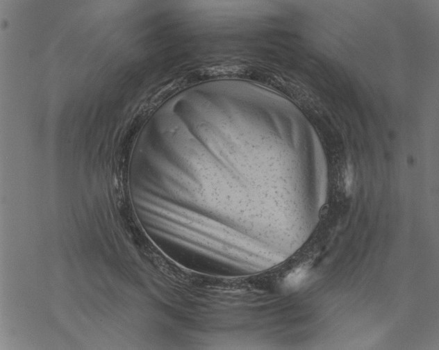 X0000077390743200611032001