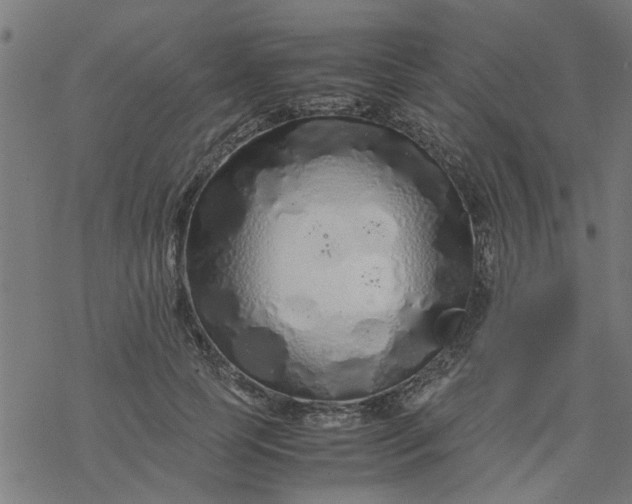 X0000077390745200611032001