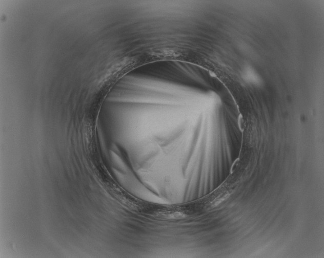 X0000077390747200611032001