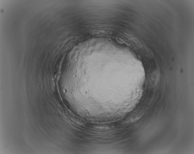 X0000077390749200611032001