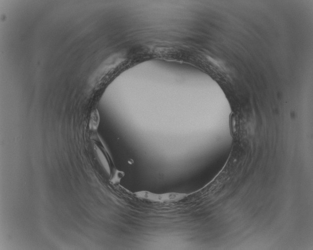 X0000077390750200611032001