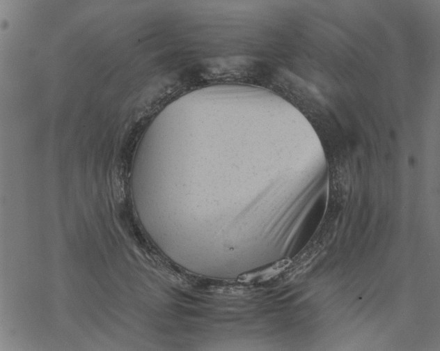 X0000077390751200611032001