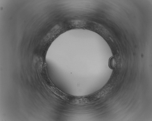 X0000077390752200611032001