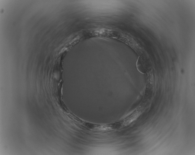 X0000077390754200611032001