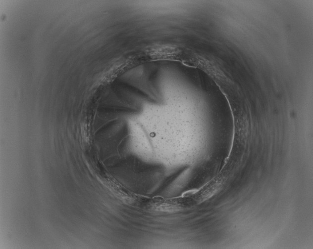 X0000077390755200611032001