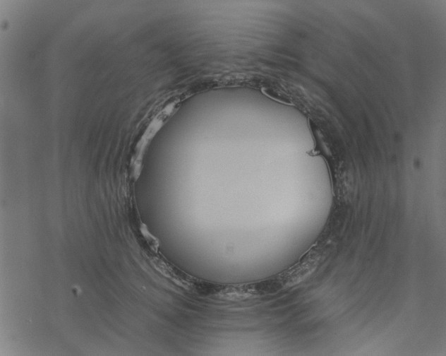 X0000077390756200611032001