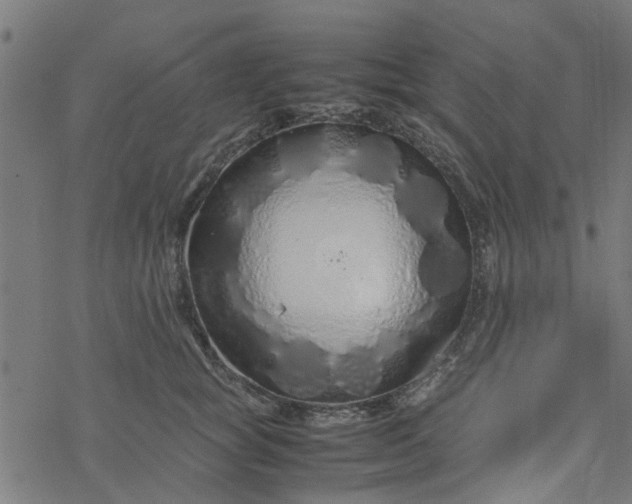 X0000077390757200611032001