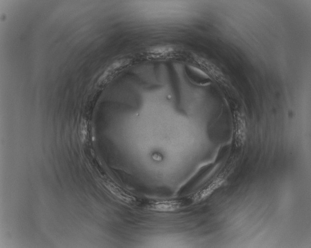 X0000077390758200611032001