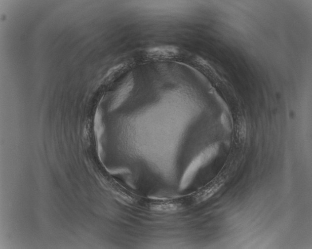 X0000077390759200611032001