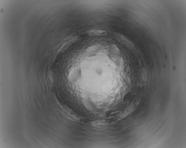 X0000077390761200611032001