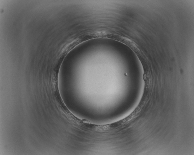 X0000077390762200611032001