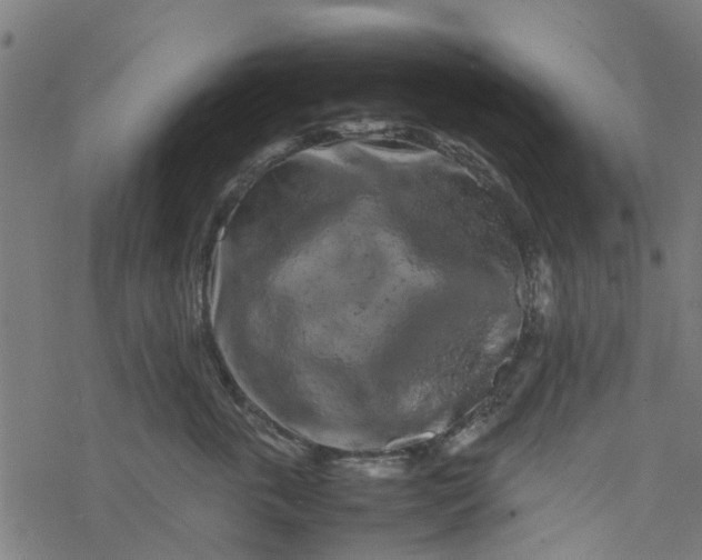 X0000077390763200611032001