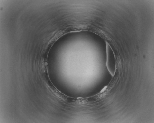 X0000077390764200611032001