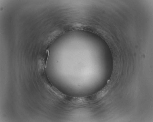 X0000077390768200611032001