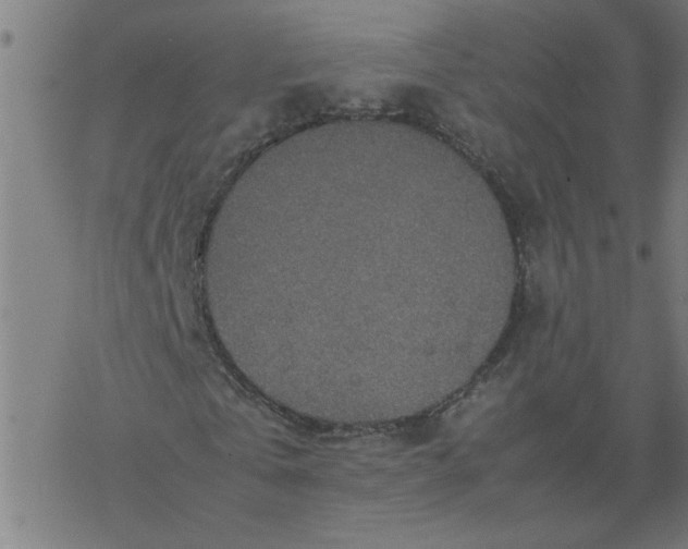 X0000077390769200611032000