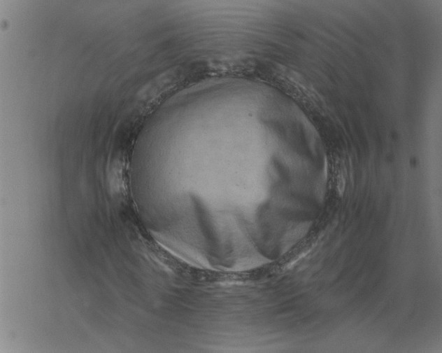 X0000077390770200611032000