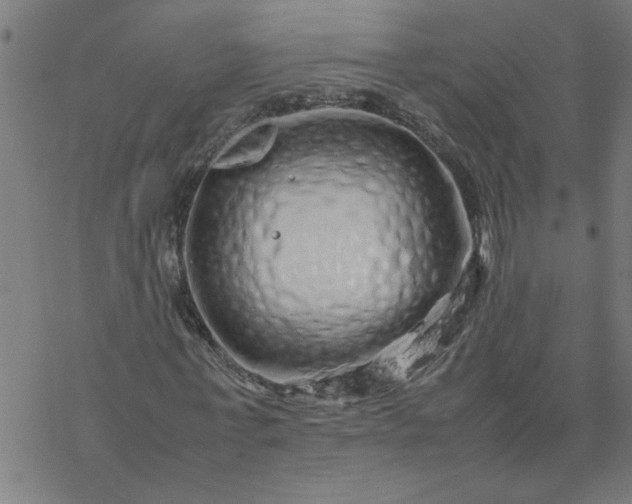 X0000077390771200611032000