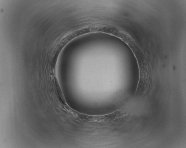 X0000077390773200611032000