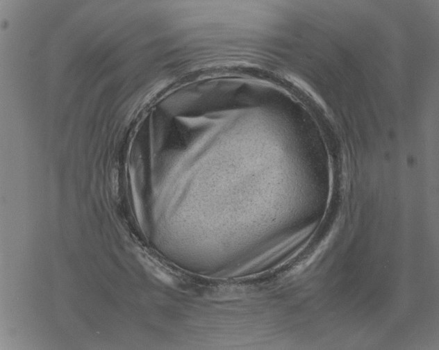 X0000077390777200611032000