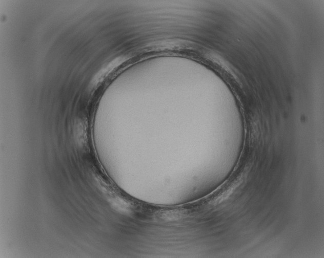 X0000077390778200611032000