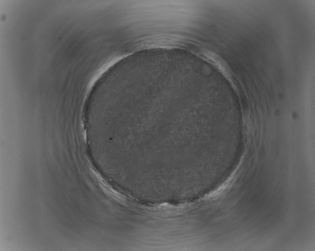 X0000077390779200611032000