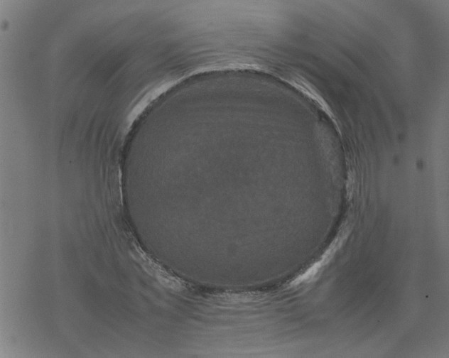 X0000077390781200611032000