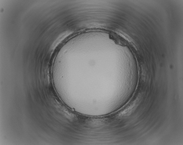 X0000077390782200611032000