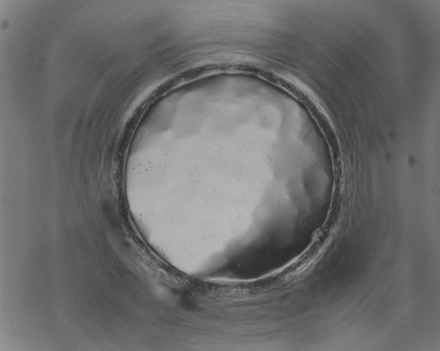 X0000077390783200611032000