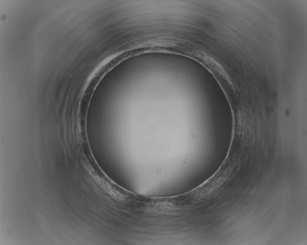 X0000077390784200611032000