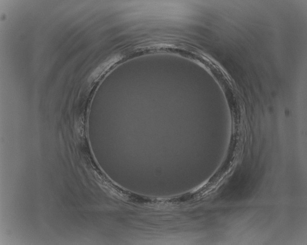 X0000077390785200611032000