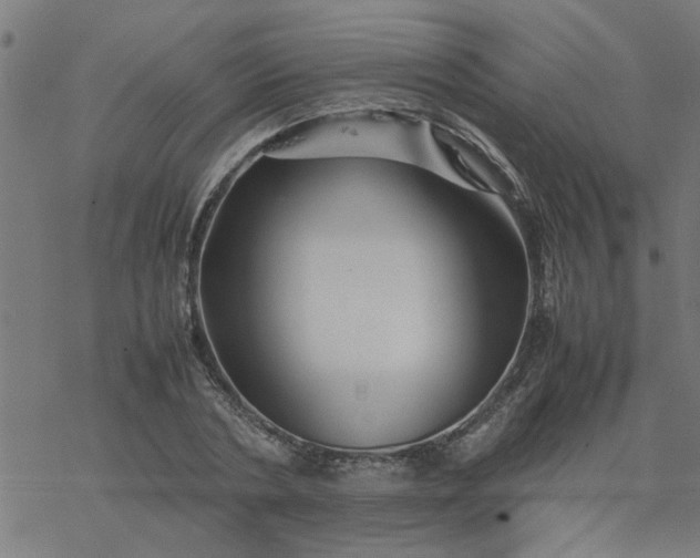 X0000077390786200611032000