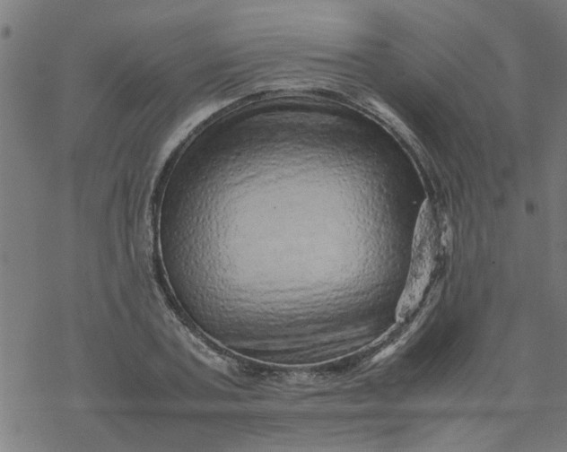 X0000077390787200611032000