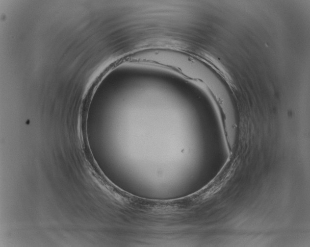 X0000077390788200611032000